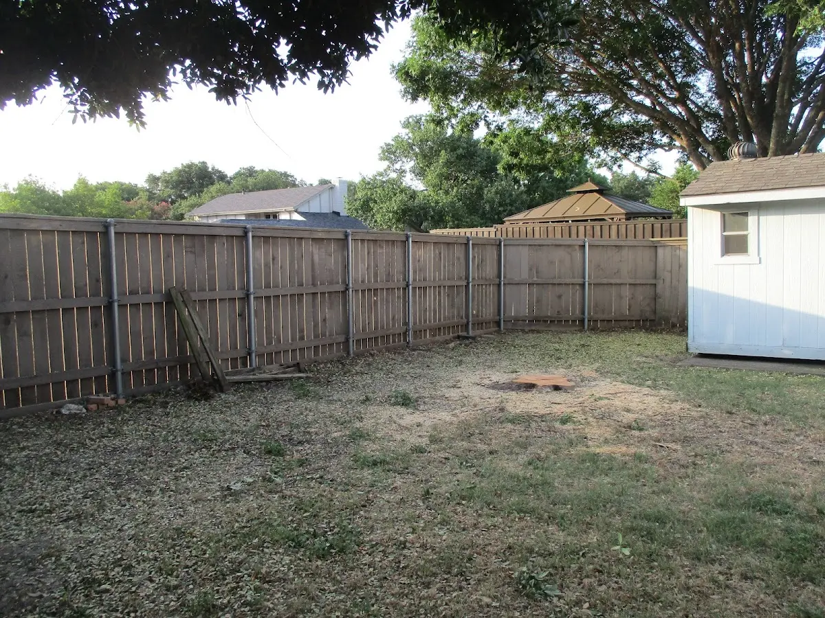 Cleared yard after professional tree removal in Dravosburg